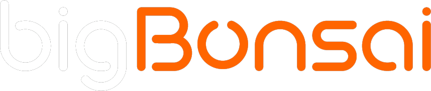 Logo bigBonsai